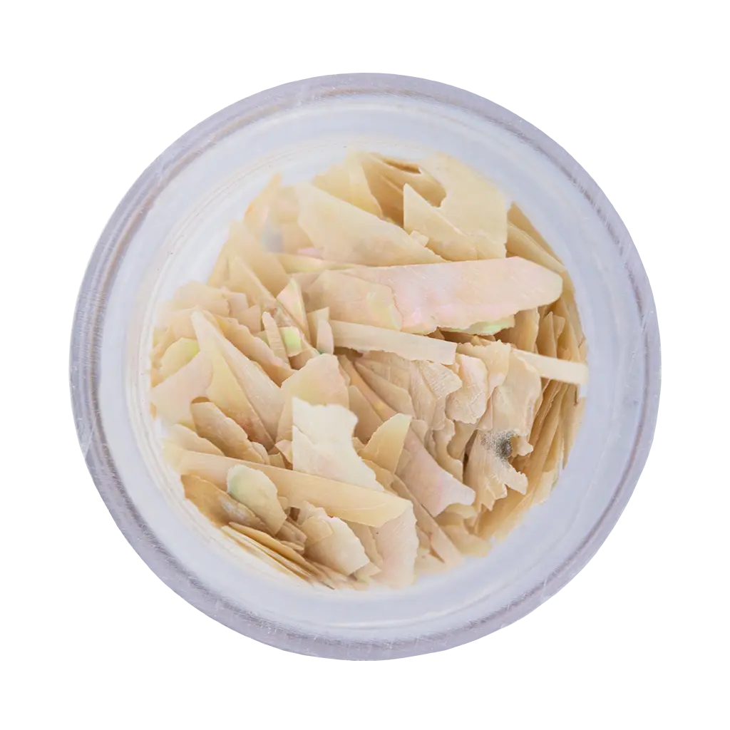 Inlay Shell Sheets Ivory